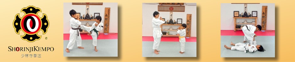 金剛禅総本山少林寺 秦野道院